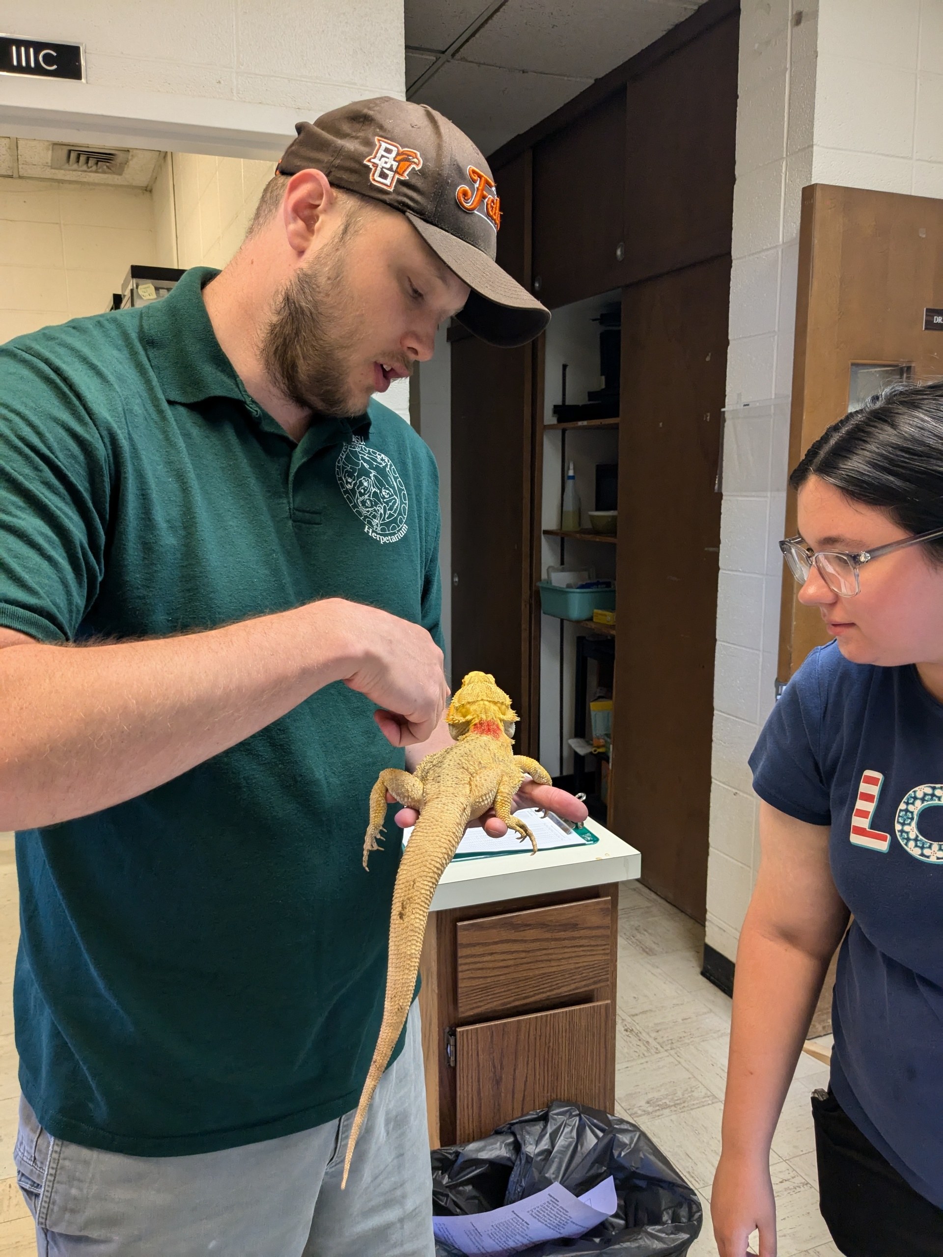 Person holds reptile Person holds reptile
