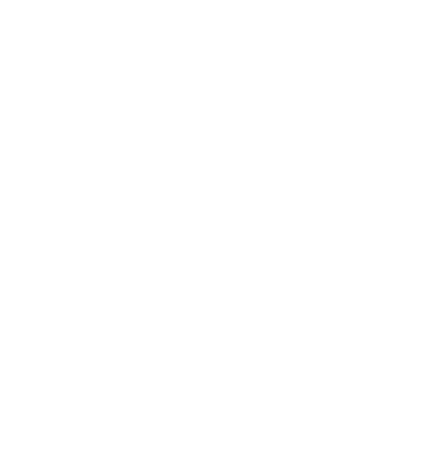 Falcon Launchpad icon
